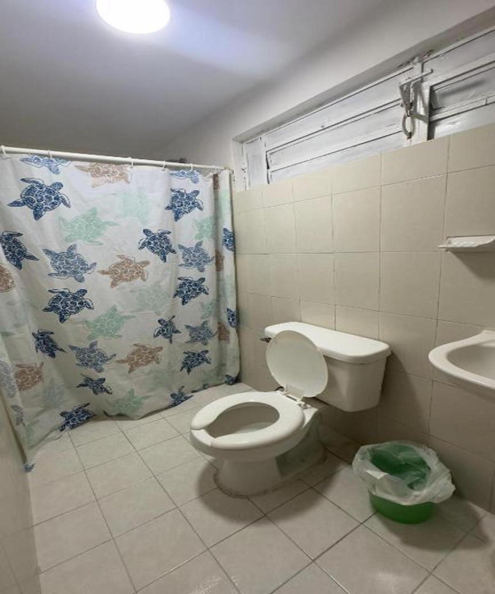 Oyo Hotel Colibri チェトゥマル エクステリア 写真