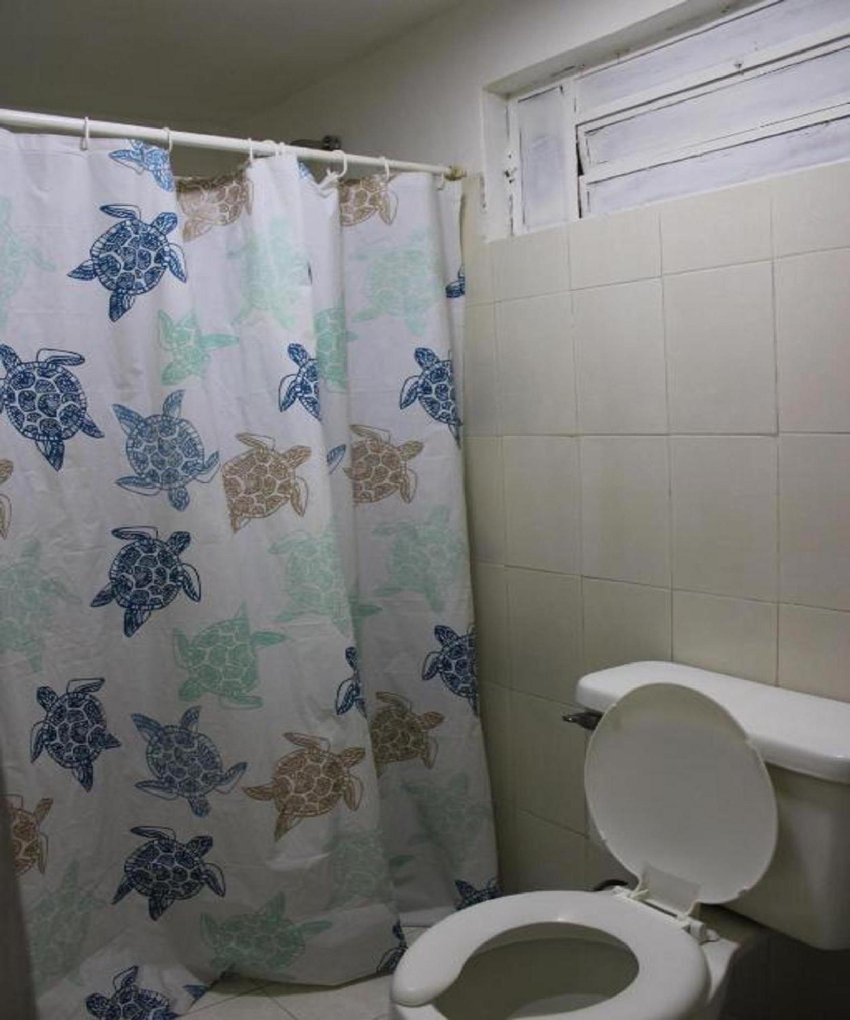 Oyo Hotel Colibri チェトゥマル エクステリア 写真